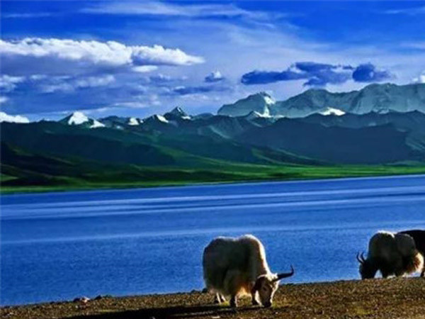 公司成功舉辦“慶元旦、迎新春”長(zhǎng)跑比賽